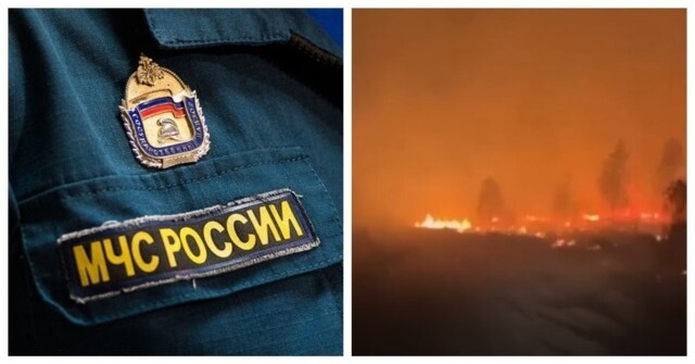 В Рязанской области полыхают пожары - огнём охвачено несколько тысяч гектаров леса