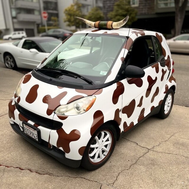 Автовсячина