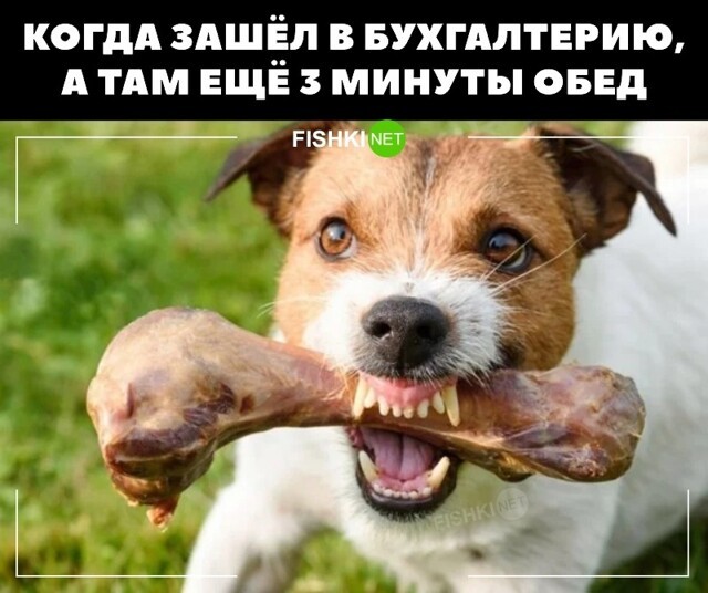 Смешные и познавательные картинки