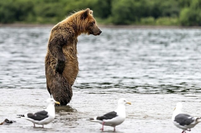 С добрым утром!