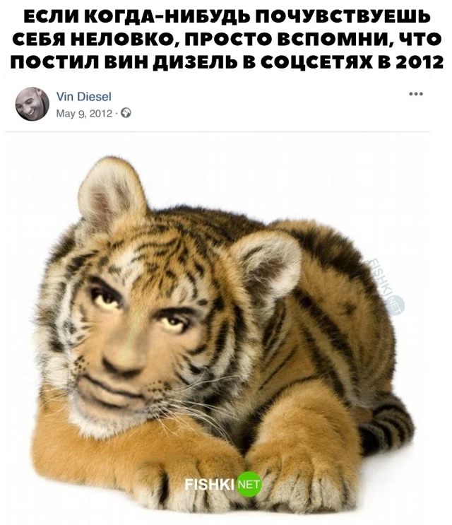 Скрины из соцсетей