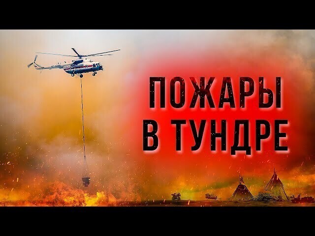 Как тушат лесные пожары на Ямале