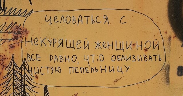 Случаи, когда стены разговаривали с жителями с помощью странных и забавных надписей