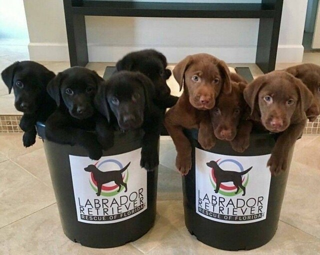 С добрым утром!