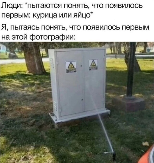 Смешные и познавательные картинки