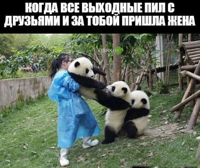 Расставание с друзьями