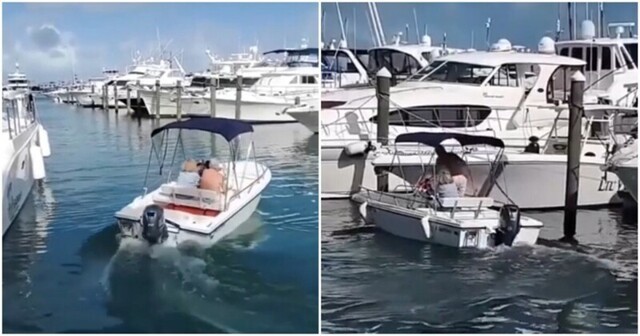 Женщина без опыта вождения пытается управлять лодкой мужа