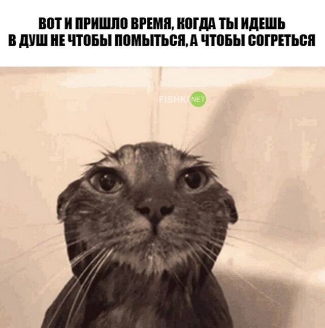 Субботний улыбальник