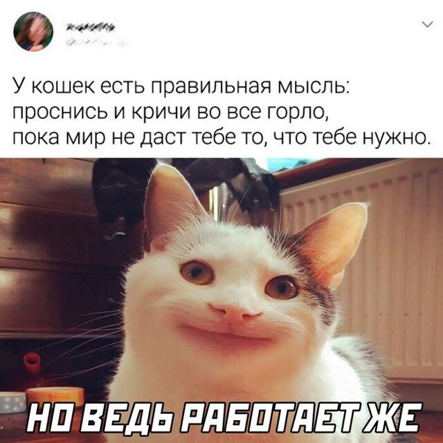 Скрины из соцсетей