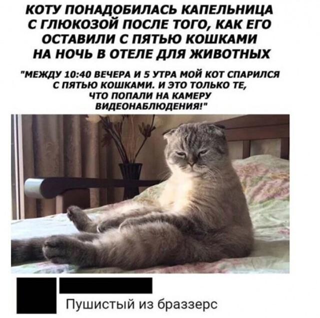 Смешные и познавательные картинки