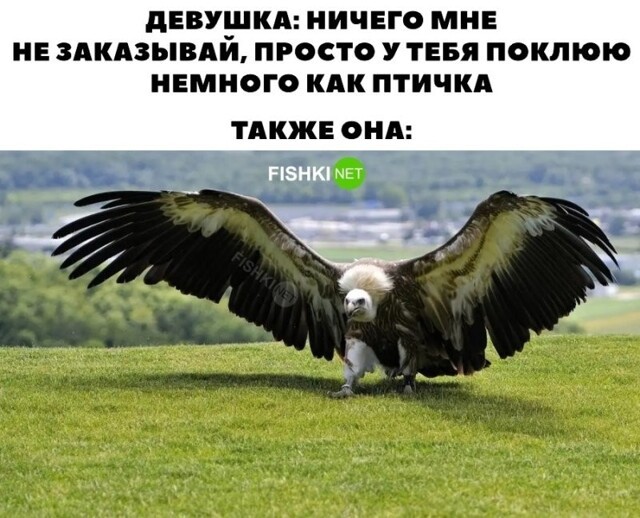 Ничего мне не заказывай