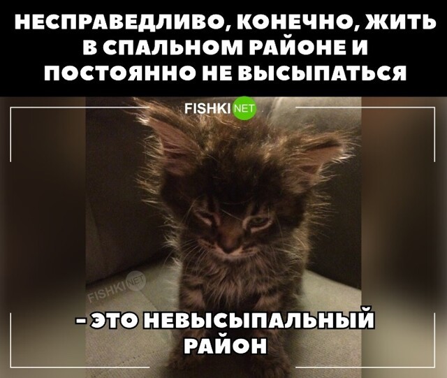 На общую тему