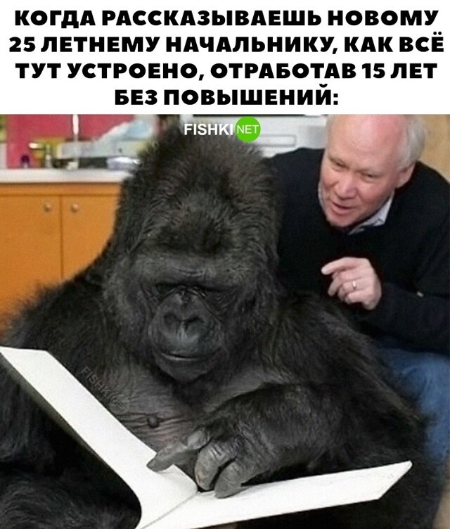 Скрины из соцсетей