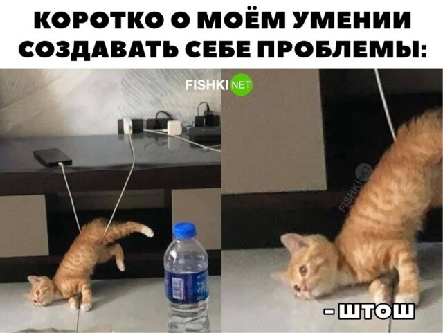 Картинки на ночь на позитиве