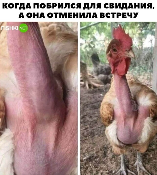 Когда побрился для свидания