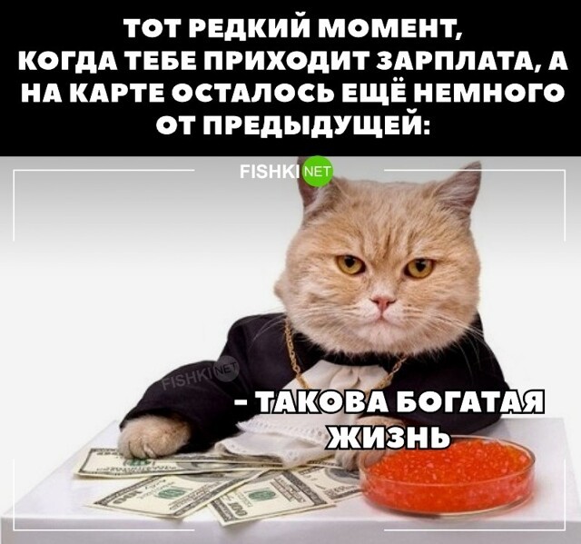 Богатая жизнь