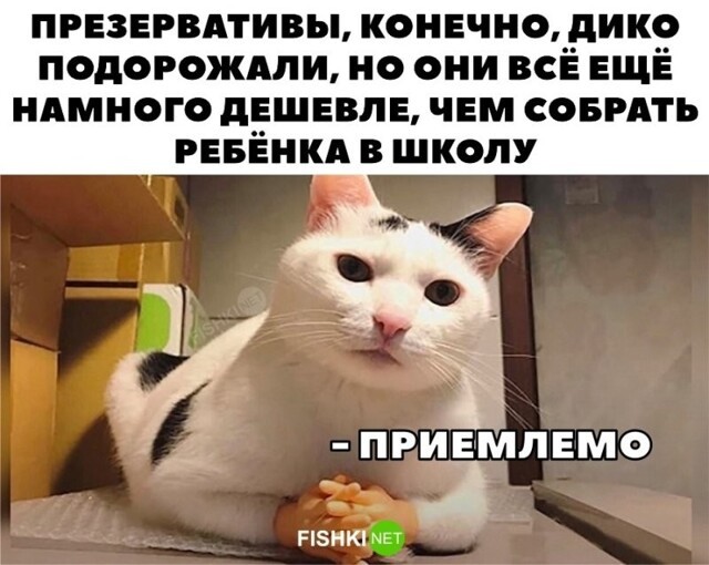 Всё ещё дешевле