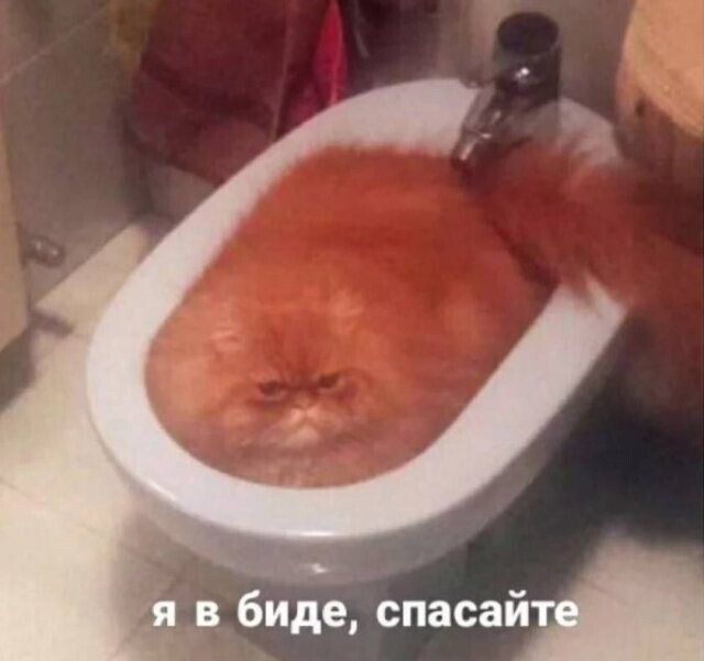 Улыбайтесь, господа!