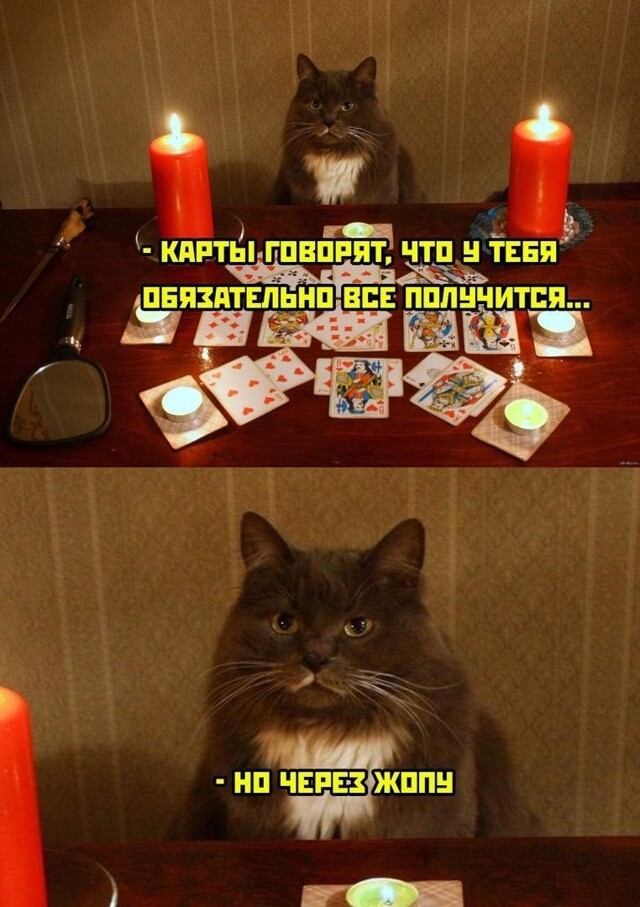 У тебя обязательно всё получится