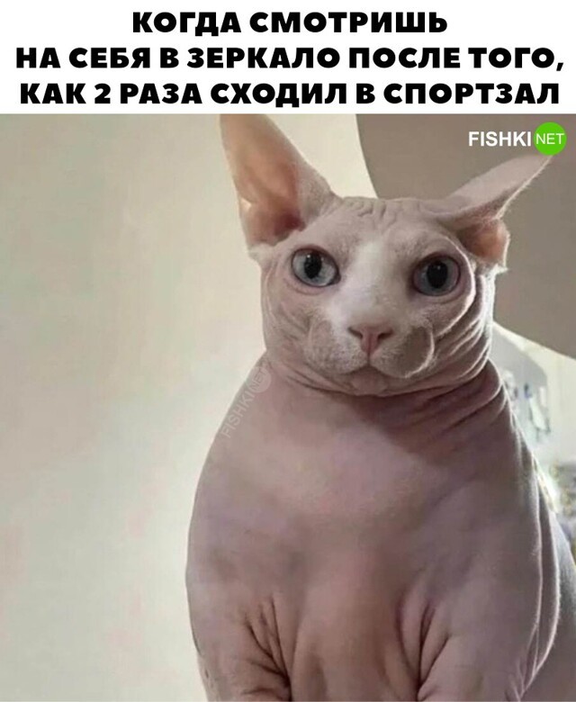 После первых посещений спортзала