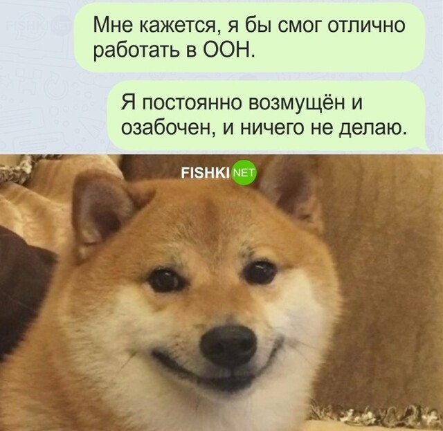 К работе в ООН готов