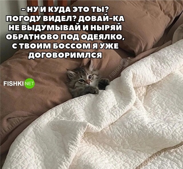 Ну и куда ты собрался?