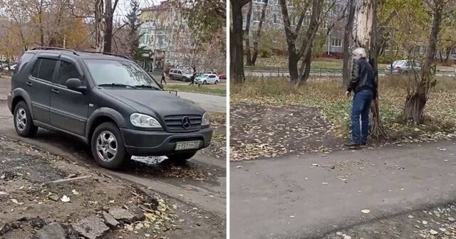 В Омске наглые водители устроили парковку на газоне и заезжают на неё через тротуар