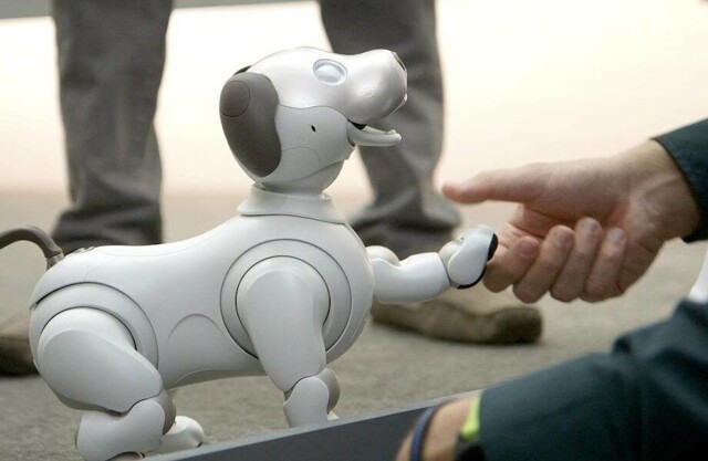 Китайская молодежь гуляет с собаками-роботами вместо живых питомцев