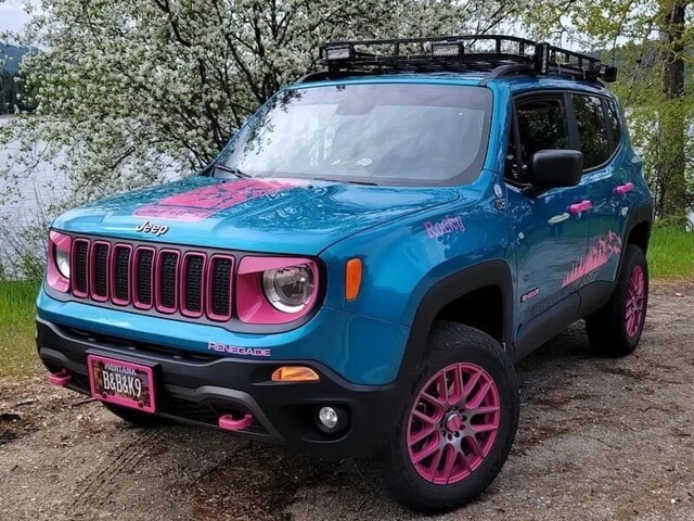 Автовсячина