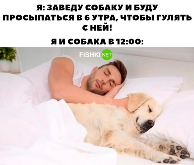 Скрины из соцсетей