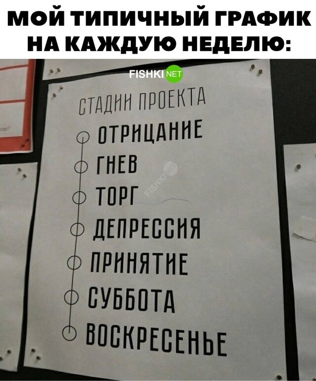 Типичный график на неделю