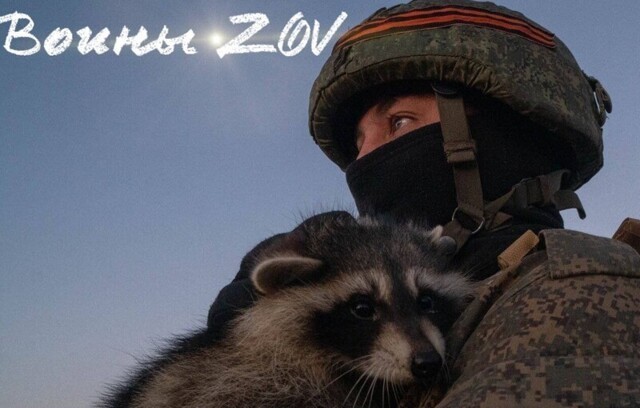 Россияне вывезли из Херсона енота, который стал героем мемов и причиной истерики на Украине