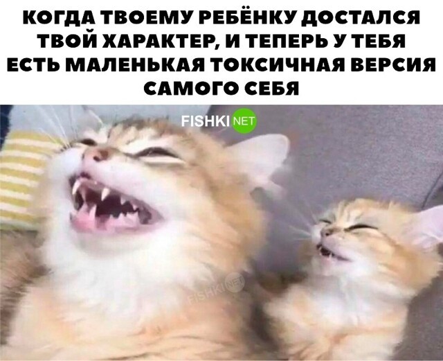 Картинка дня 22-11-2022