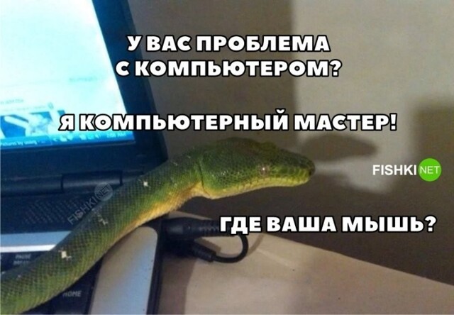 Компьютерный мастер