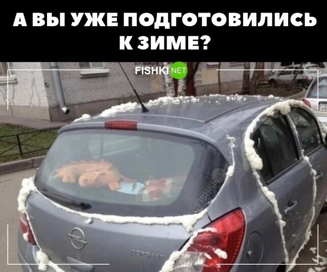 Смешные и познавательные картинки