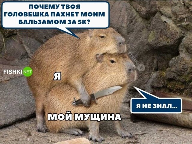 Когда понимаешь, что пора уносить ноги