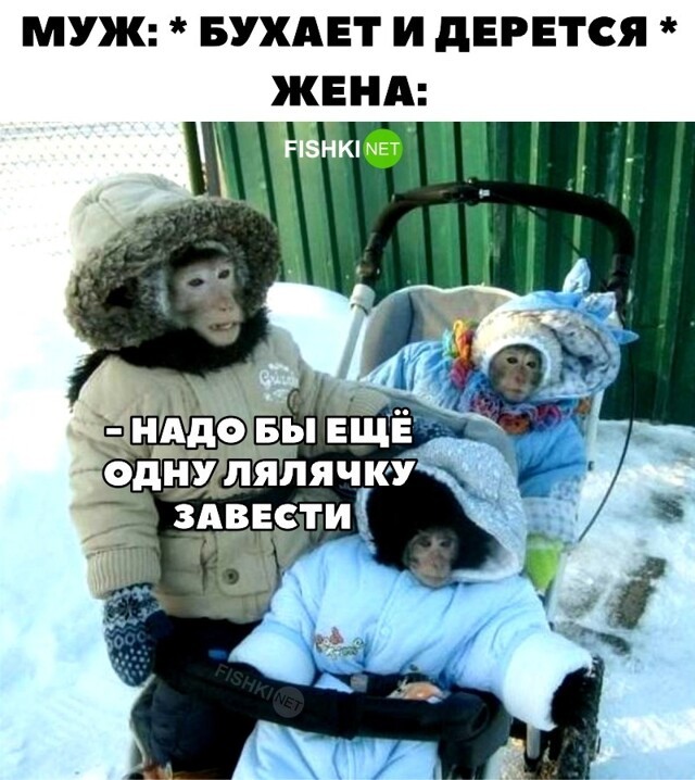 Суровая правда жизни