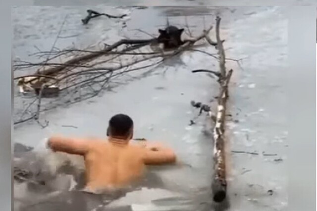 Спасение собаки, застрявшей во льду