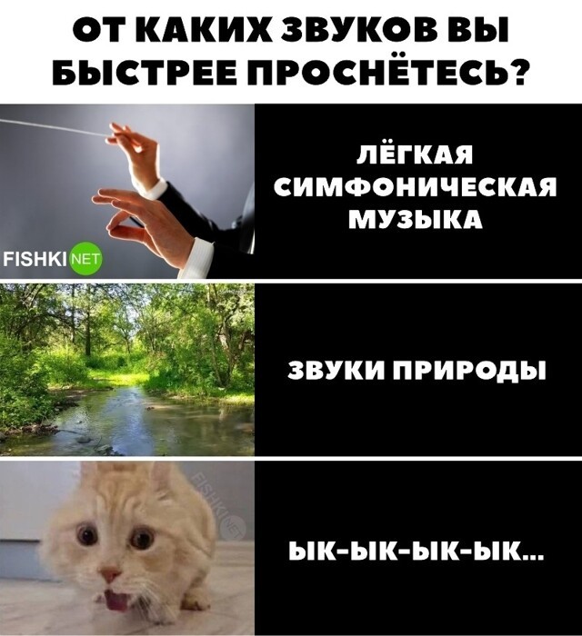 От каких звуков вы проснётесь быстрее