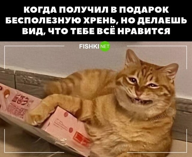 Когда получил в подарок бесполезную вещь