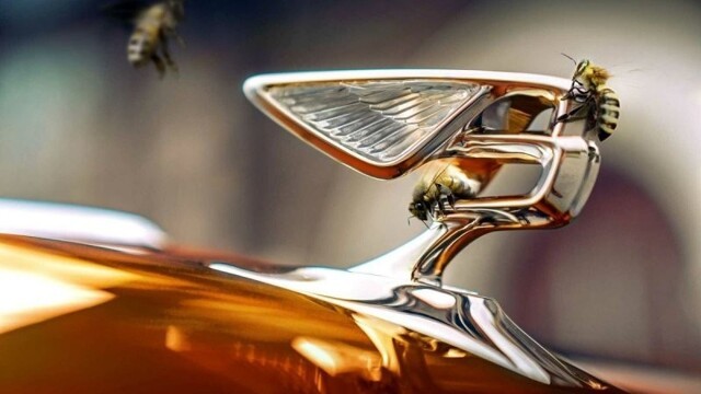Компания Bentley поставила рекорд, но не по скорости, а по производству мёда