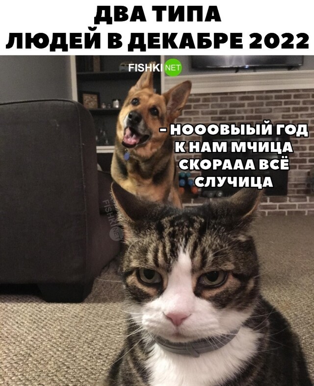 Два типа людей в декабре
