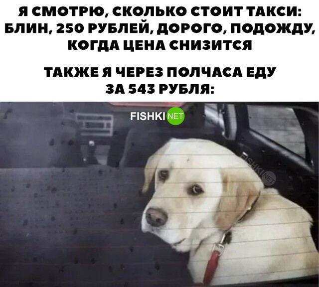 Когда решил сэкономить и подождать