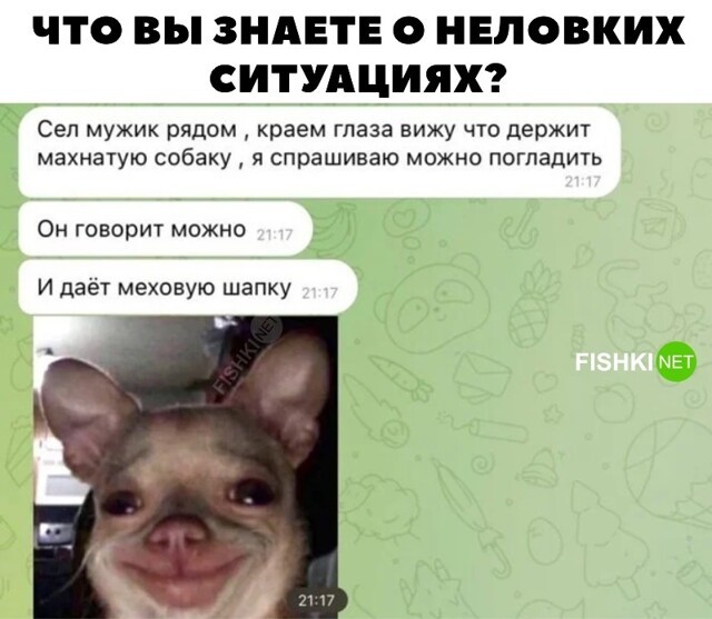 Смешные и познавательные картинки