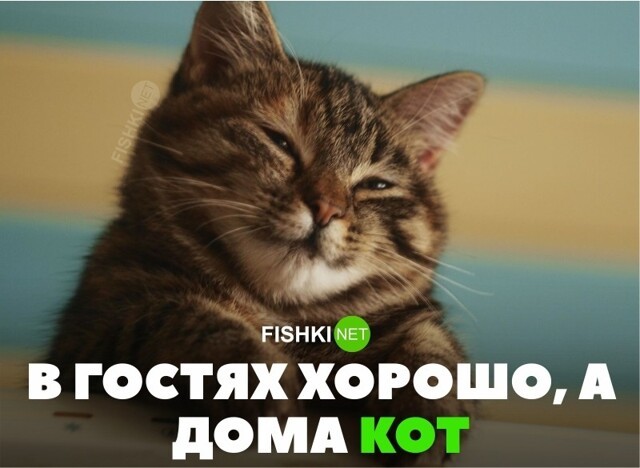 В гостях хорошо