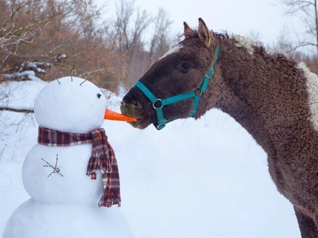 Фотоподборка