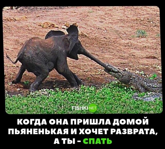 Когда она хочет разврата, а ты спать
