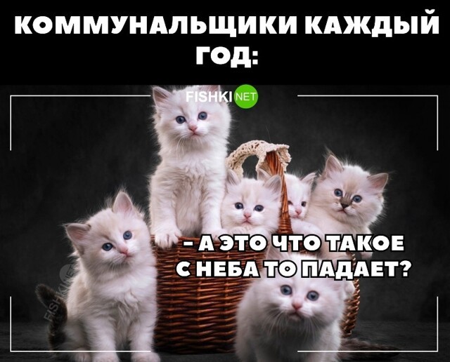 Каждый год одно и тоже 