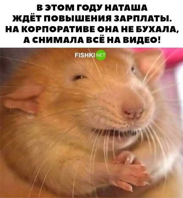 Хитрая Наташа