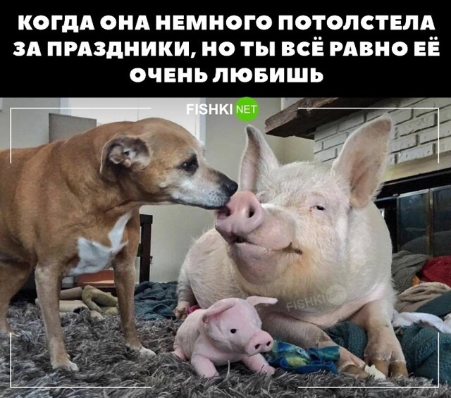 Немного потолстела за праздники